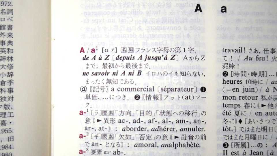 ディコ仏和辞典（新装改訂版）